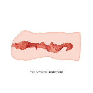 Crazy Bull Masturbator Sleeve - Linda - MyPleasure