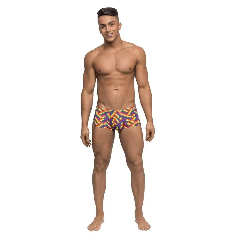 Pride Fest - Mini Short - X-Large - Print