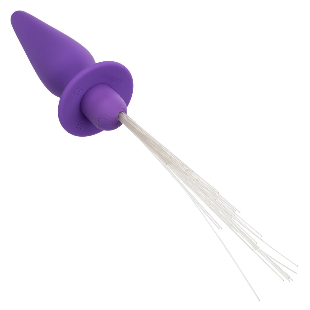 Southern Lights - Vibrating Light Up Anal Probe -  Purple