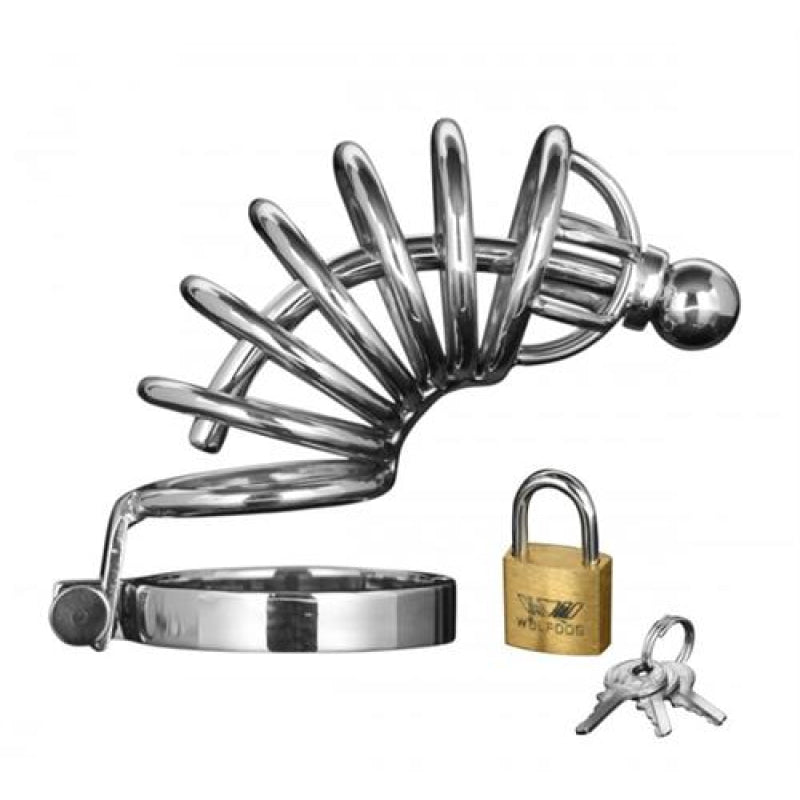 Asylum 4 Ring Locking Chastity Cage - Small/medium