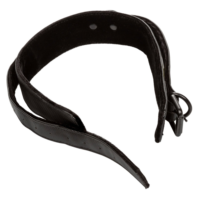 Boundless Collar & Leash