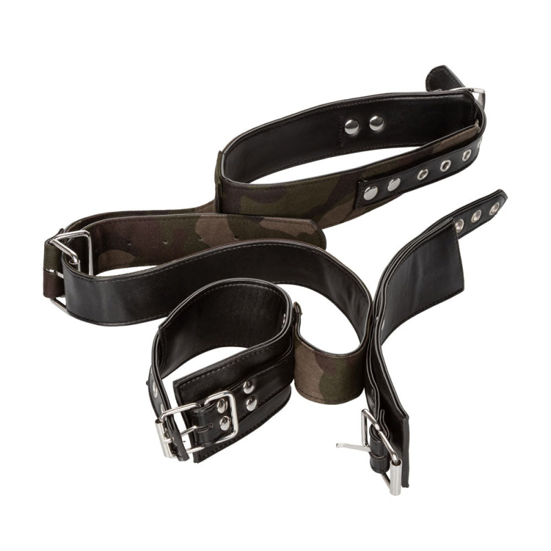 Colt Camo Collar and Cuffs