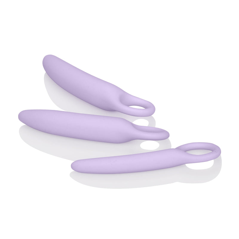 Dr. Laura Berman Alena Set of 3 Silicone Dilators