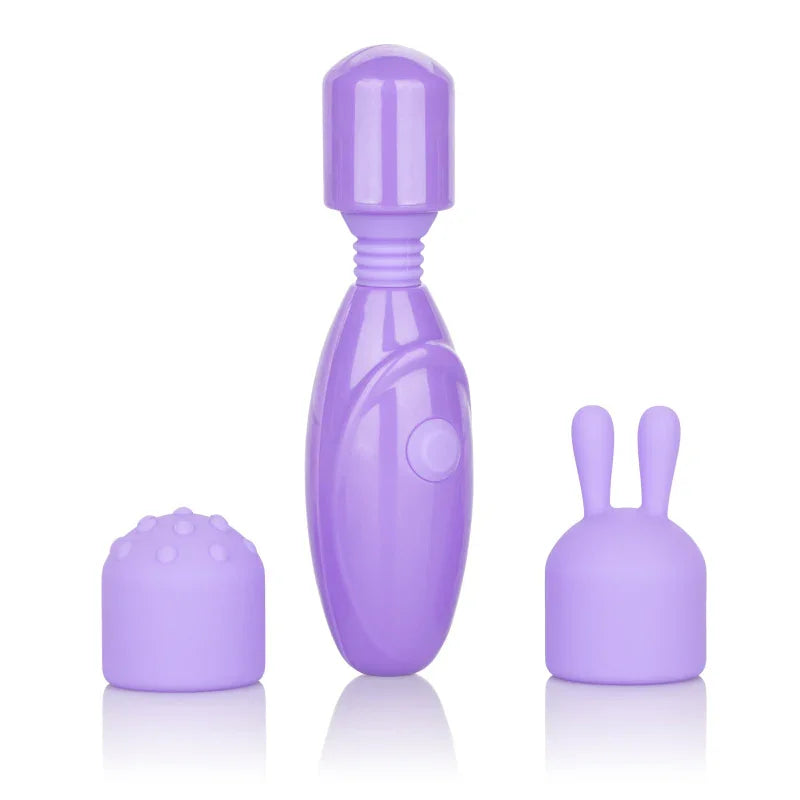 Dr. Laura Berman Olivia Rechargeable Mini Massager With Attachments - MyPleasure