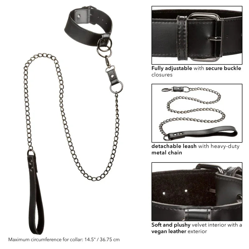 Euphoria Collection Collar With Chain Leash - Black - MyPleasure