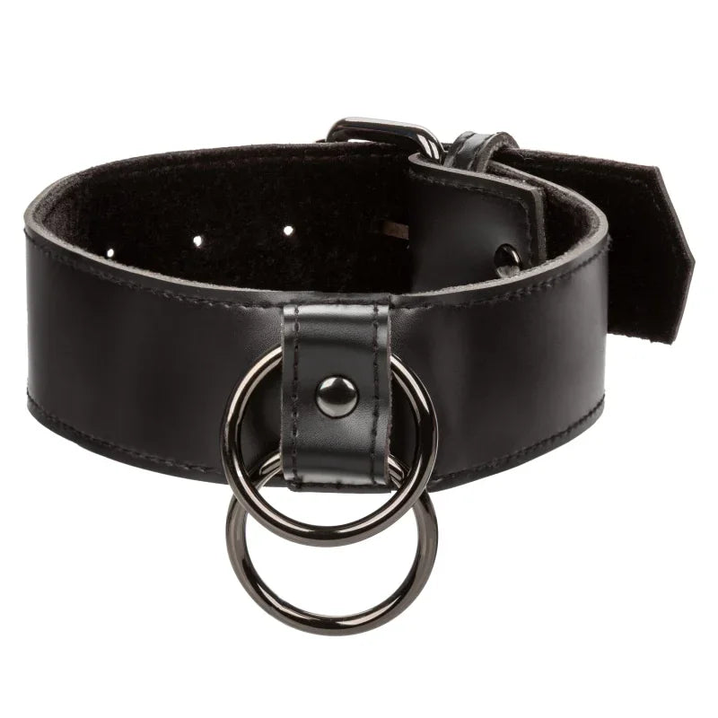 Euphoria Collection Collar With Chain Leash - Black - MyPleasure