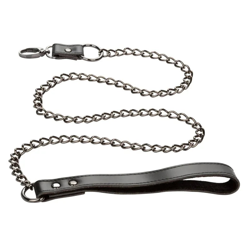 Euphoria Collection Collar With Chain Leash - Black - MyPleasure
