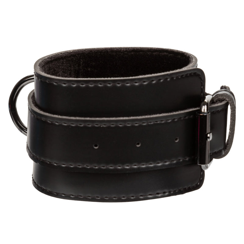 Euphoria Collection Hog Tie - Black