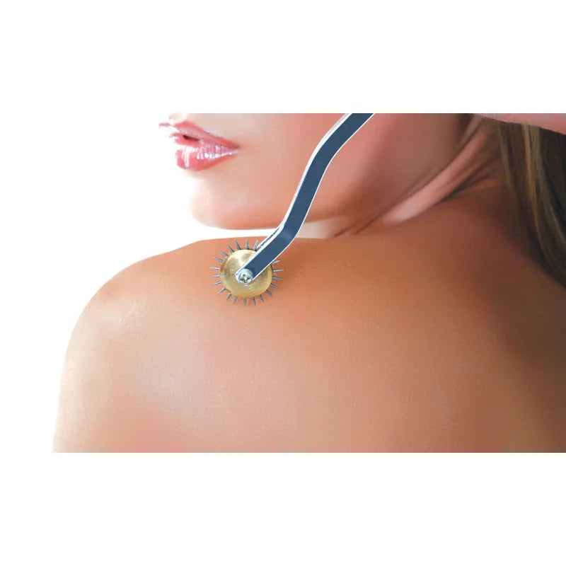 Fetish Fantasy Series Deluxe Wartenberg Wheel - MyPleasure