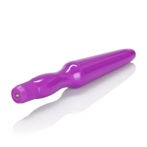 Fujikos Waterproof Anal Probe - Purple