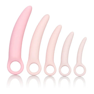 Inspire Silicone Dilator Kit - 5 Piece Set - MyPleasure
