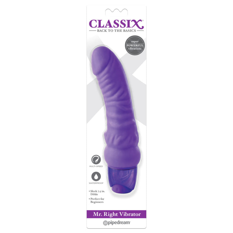 Mr. Right Vibrator - Purple