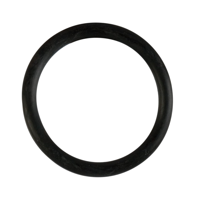 Rubber Ring - Large - Black