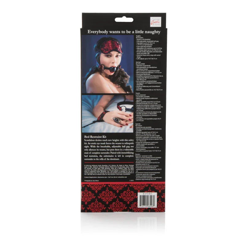 Scandal Bed Restraint Kit