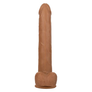 Size Queen 10 inch/25.5 Cm - Brown - MyPleasure