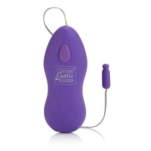 Whisper Micro Heated Bullet - Purple - MyPleasure
