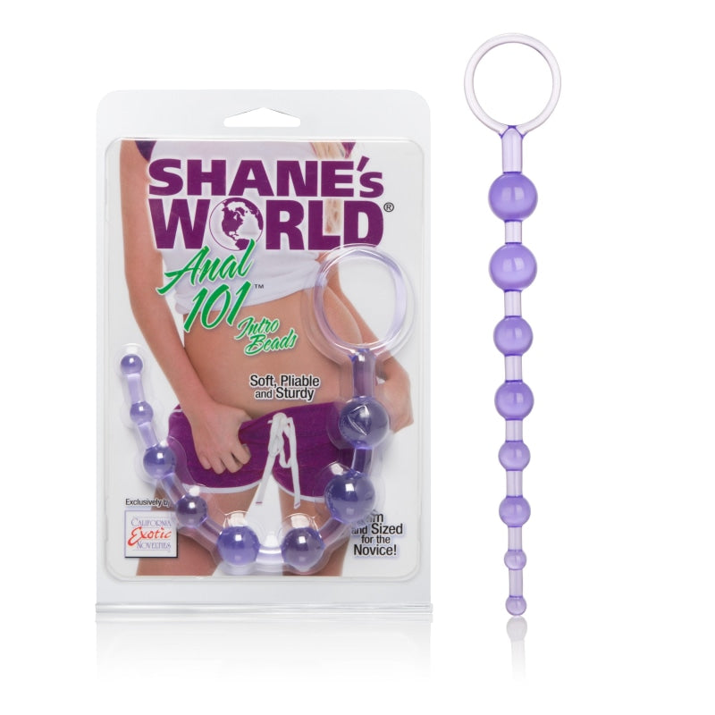 Anal 101 Intro Beads - Purple