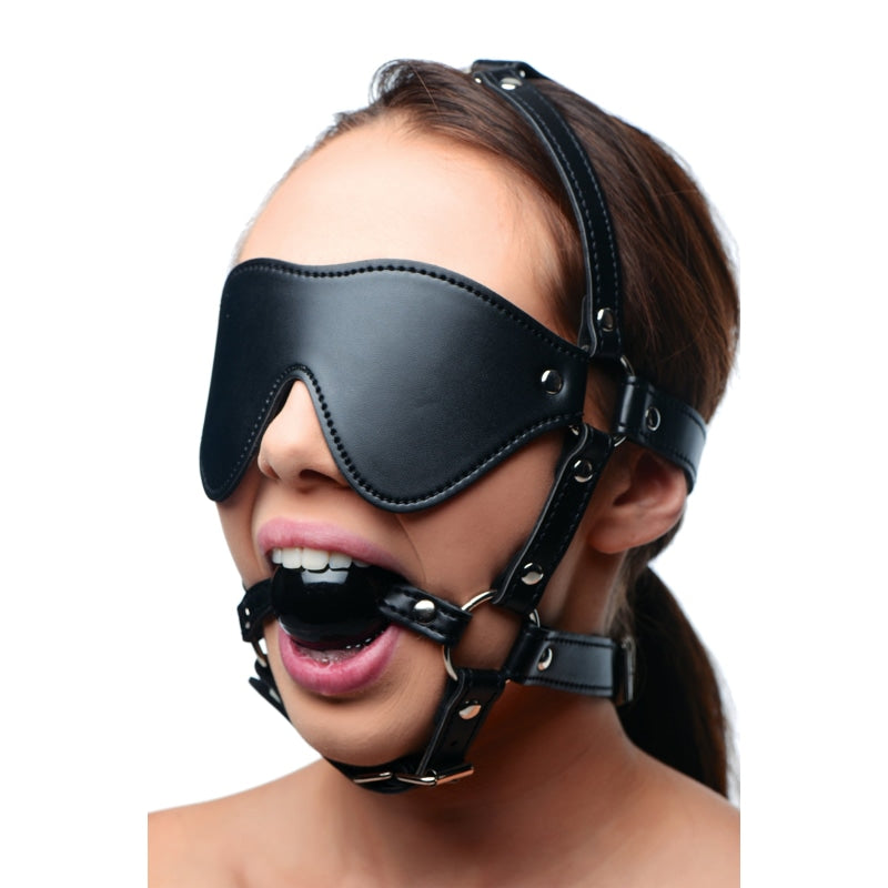 Blindfold Harness + Ball Gag