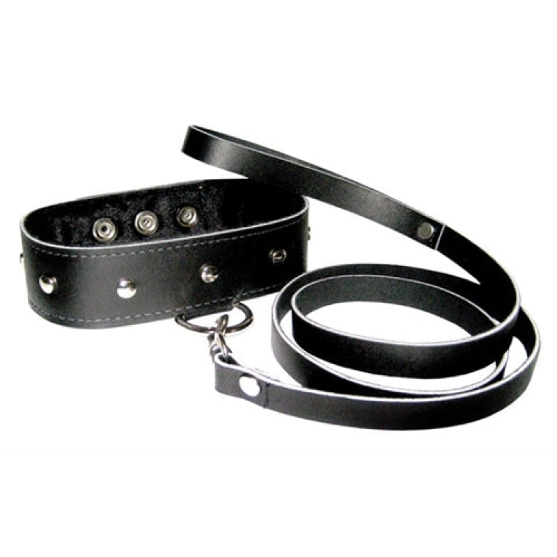 Leather Collar and Leash Set